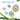 Aiwibi Baby Mosquito Repellent Patches – Plant-based, DEET-free mosquito patches with baby-safe formula.
