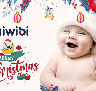 Merry Christmas from aiwibi